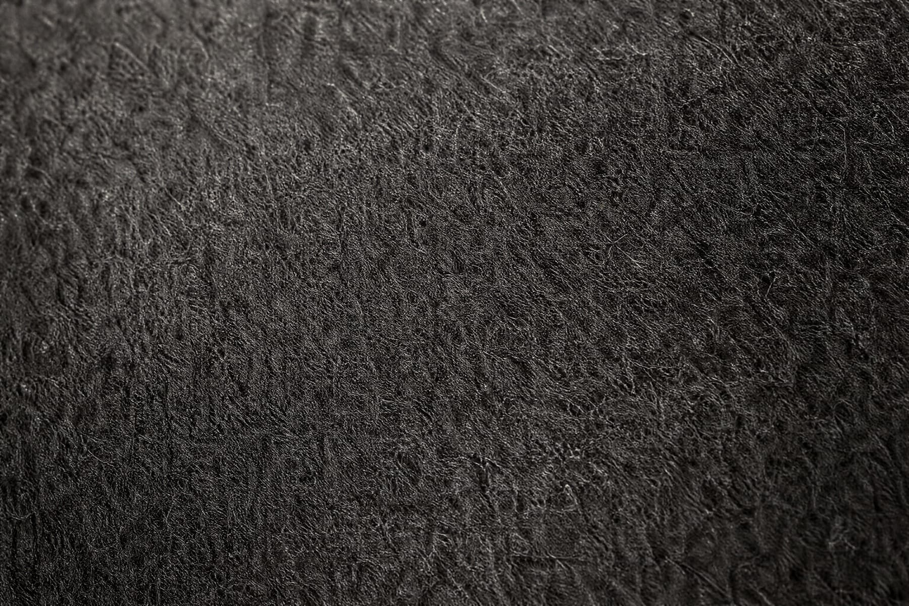 Macro of rabbit fur felt showing very fine short fibres packed into a dense mat